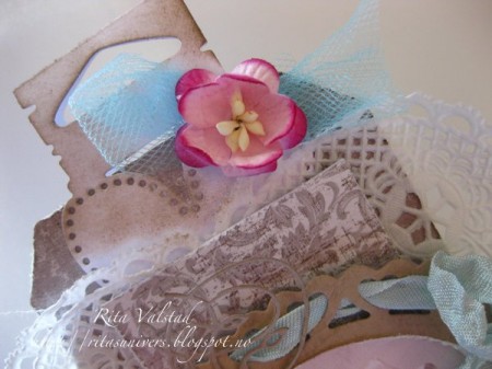 IMG_7349